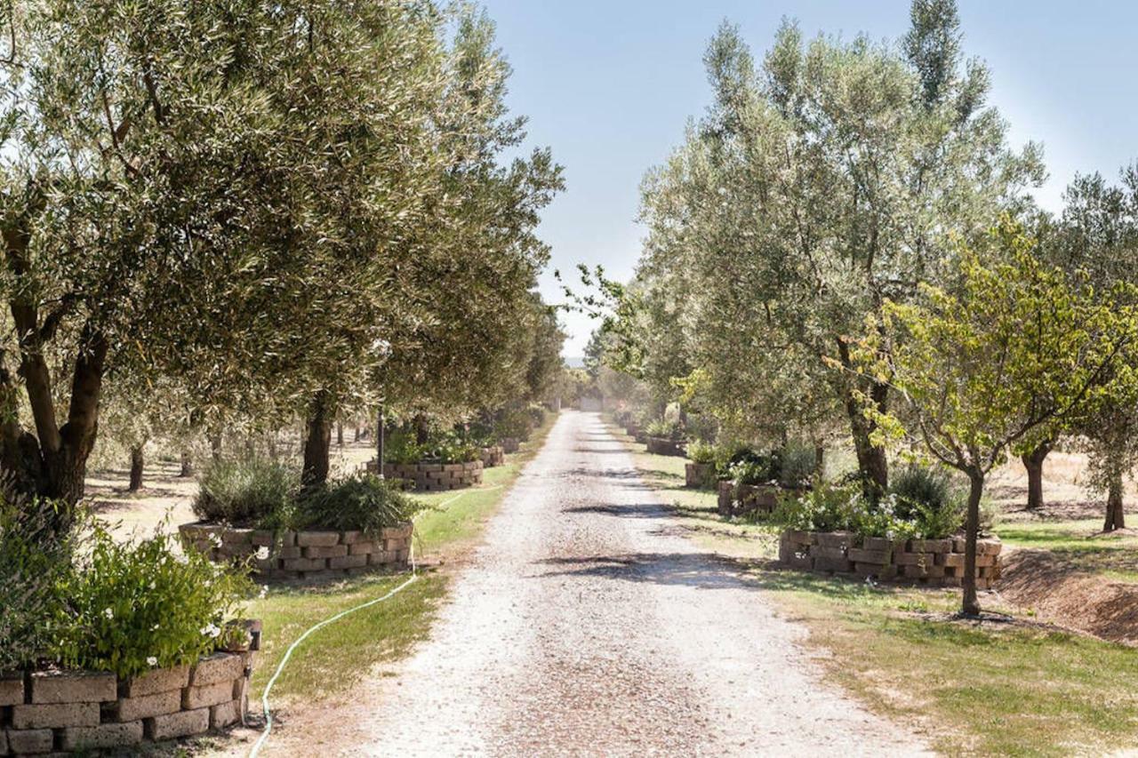 Under The Tuscan Sun Vicopisano Exterior foto